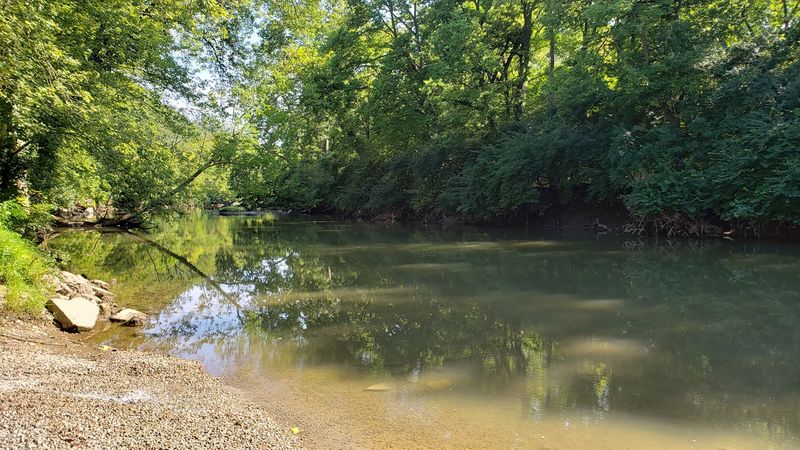 What The River Scenery Actually Looks Like What The River Scenery Actually Looks Like