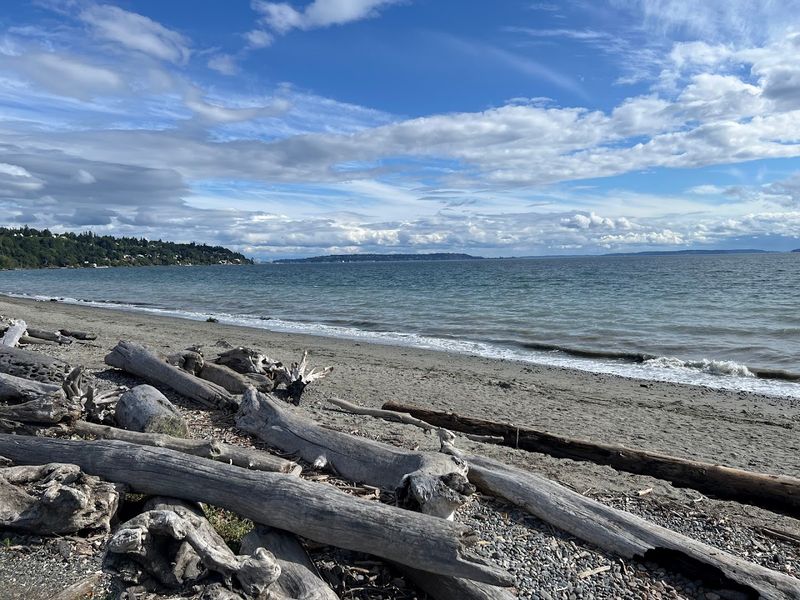 What The Shoreline Actually Looks Like