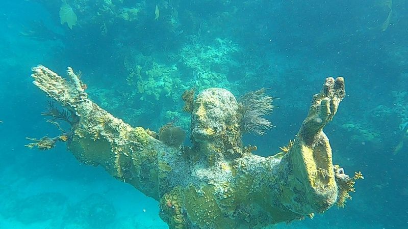 The Depth And Accessibility For All Skill Levels