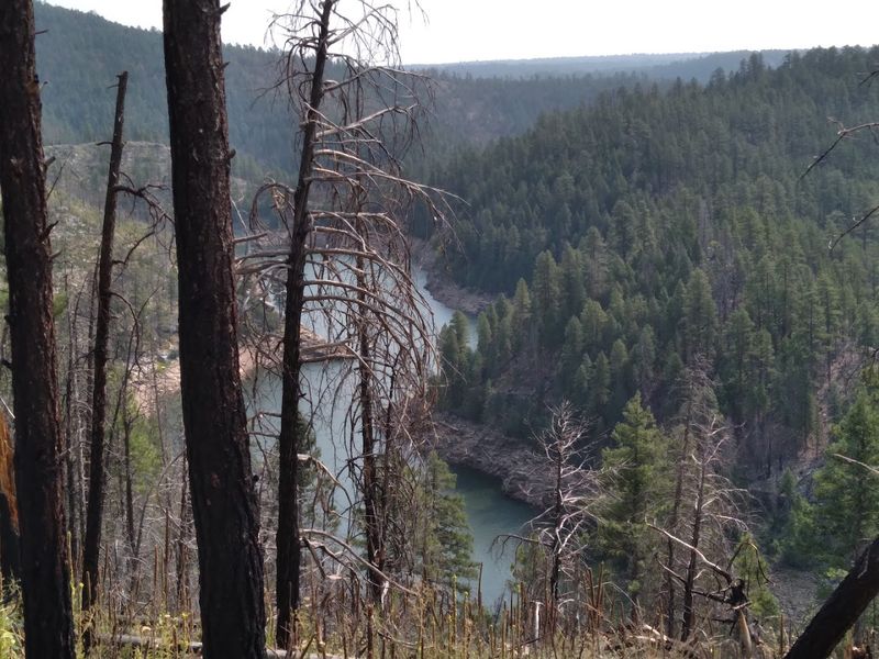 PaddlingThrough A Pine-FringedCanyon
