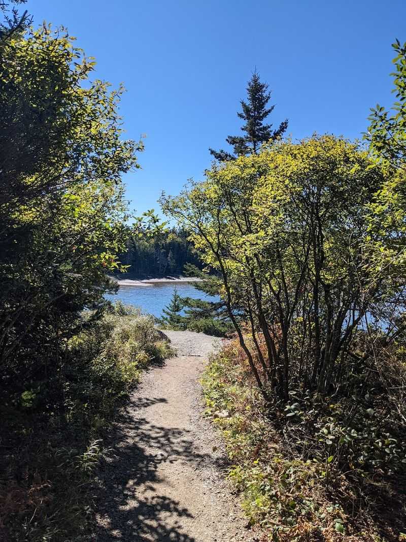 What To Bring For A Comfortable Hike