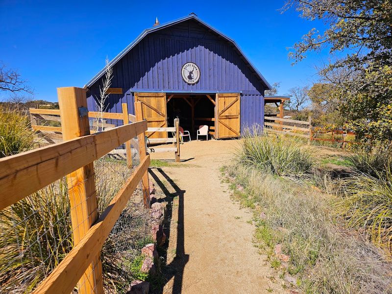 What To Bring For A Perfect Farm Visit