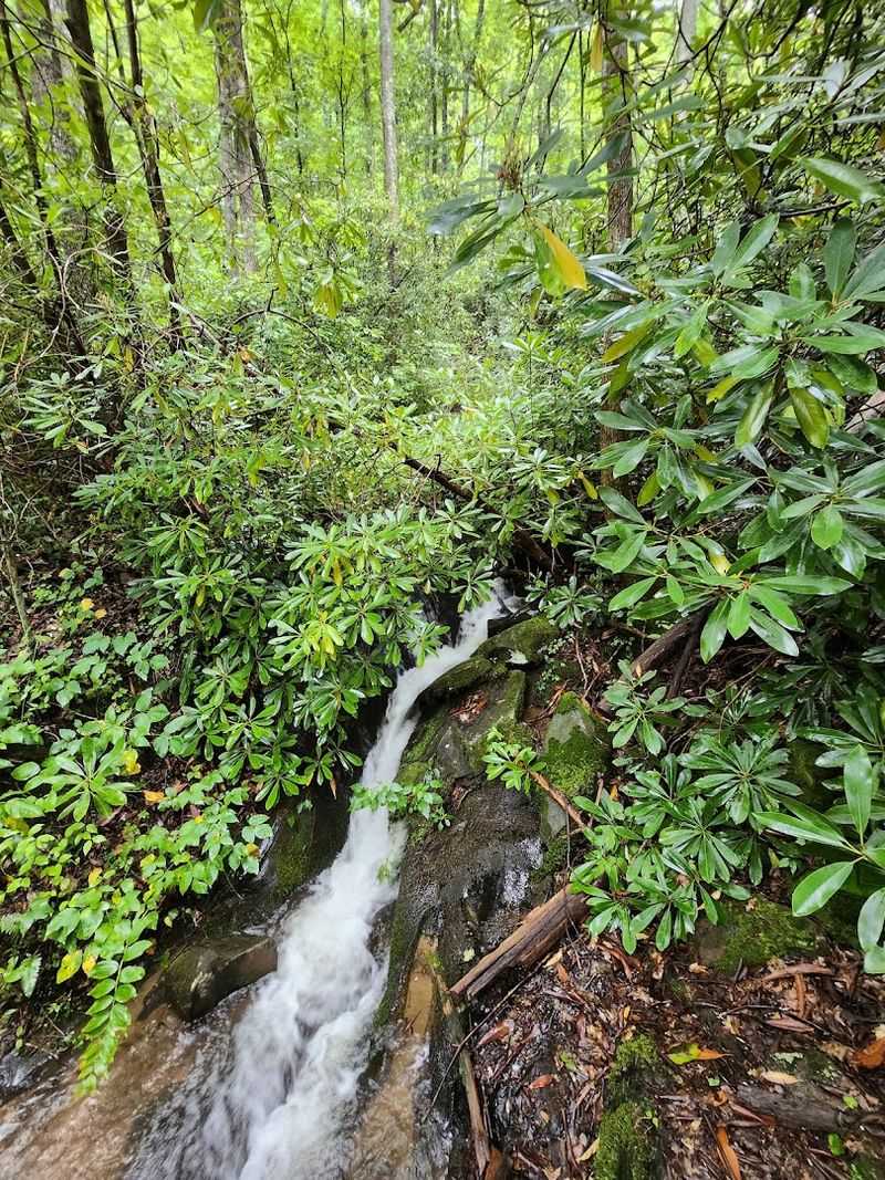 What To Bring On Your Fairytale Hike
