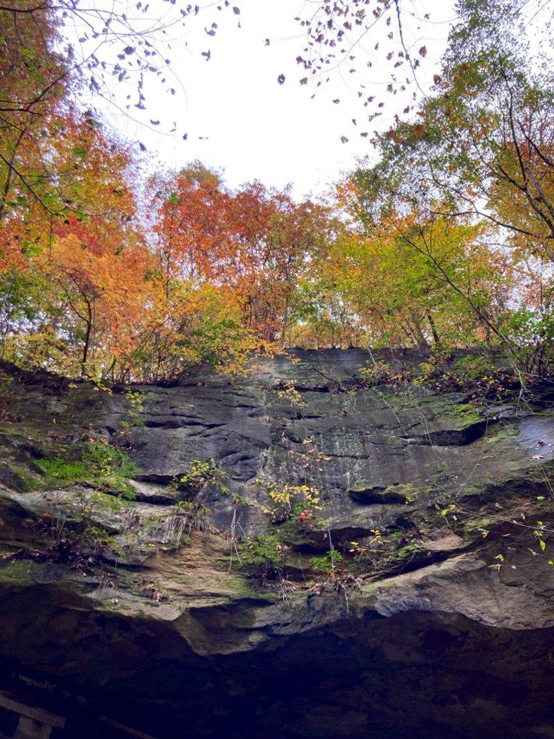 Best Timing And Weather Wisdom