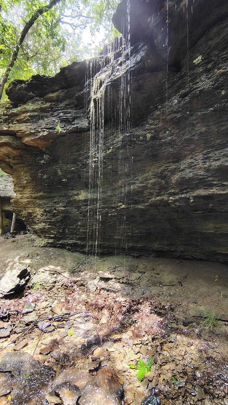 Best Time To Visit The Trail