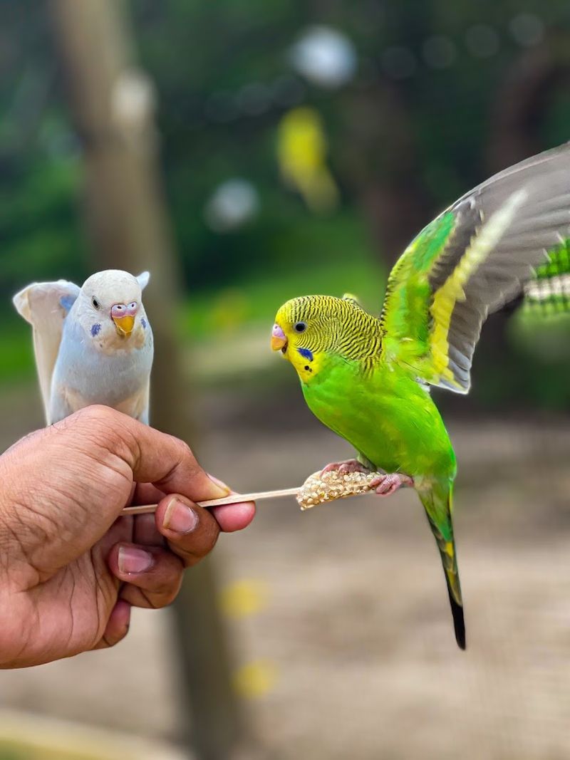 Why Texas Zoofari Belongs On Your Must-Do Texas List