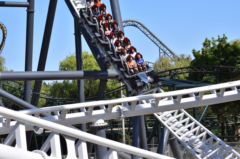 What To Expect When You Visit Maxx Force