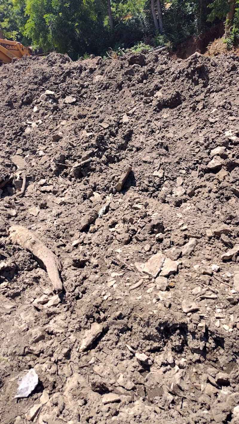 What To Know Before You Dig