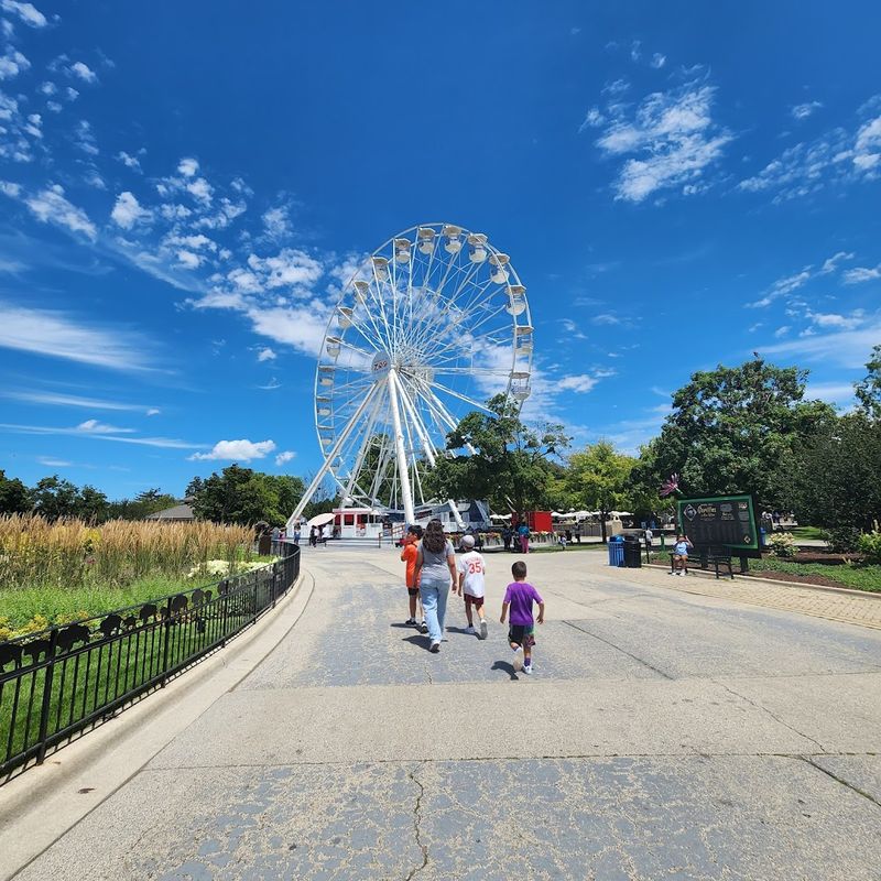 Why Glow Wild Stands Out