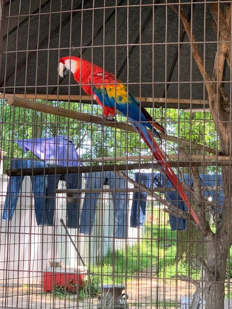 Surprising Animals Around Every Corner