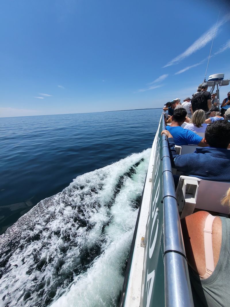 What To Pack For A Comfortable Voyage What To Pack For A Comfortable Voyage