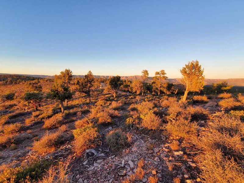 What To Pack For A Perfect Day Of Crystal Hunting What To Pack For A Perfect Day Of Crystal Hunting