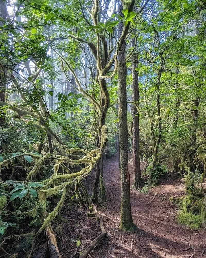 Why This Trail Stays With You Long After You Leave