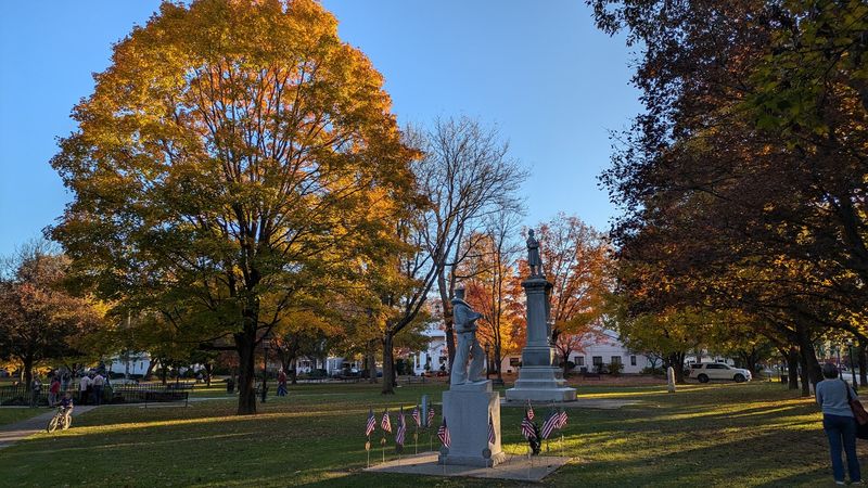 Four Seasons Of Something Worth Seeing