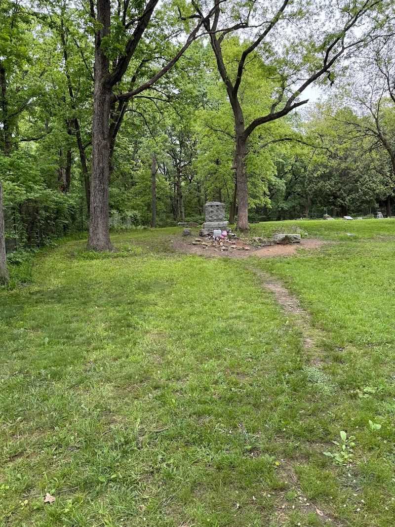 Why Bachelor's Grove Keeps Drawing People Back 