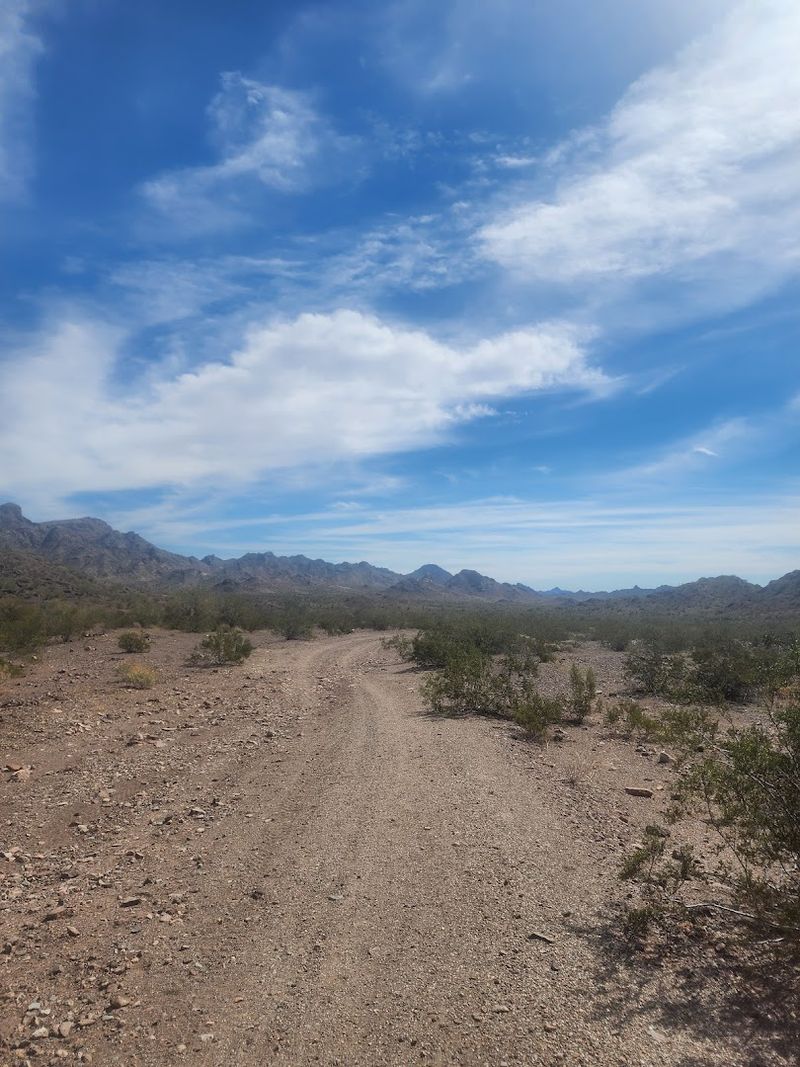 Wildlife Watching In The Kofa Refuge