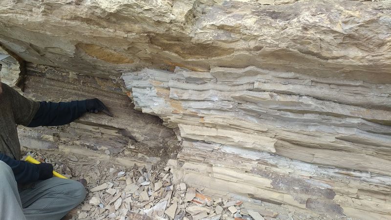 What You Will Find In The Fossil Layers At Boot Hill