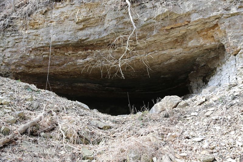 What lies beneath the preserve What lies beneath the preserve