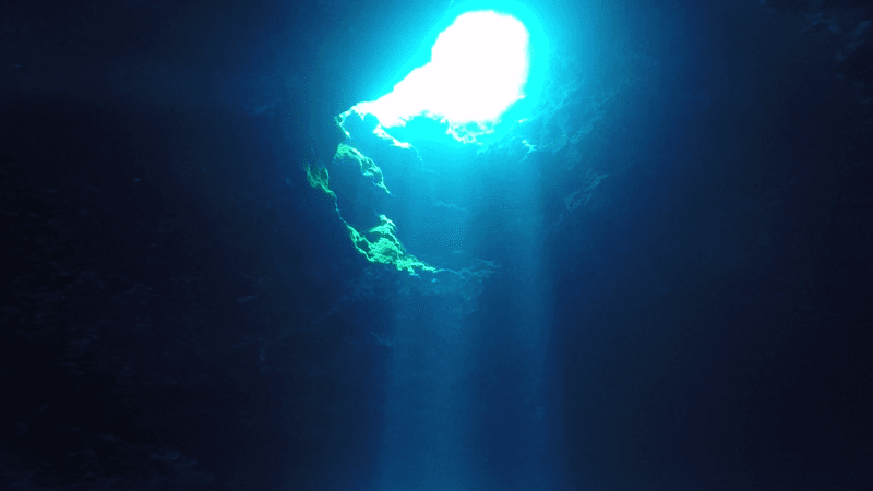 Tick Safety And Trail Precautions You Should Know