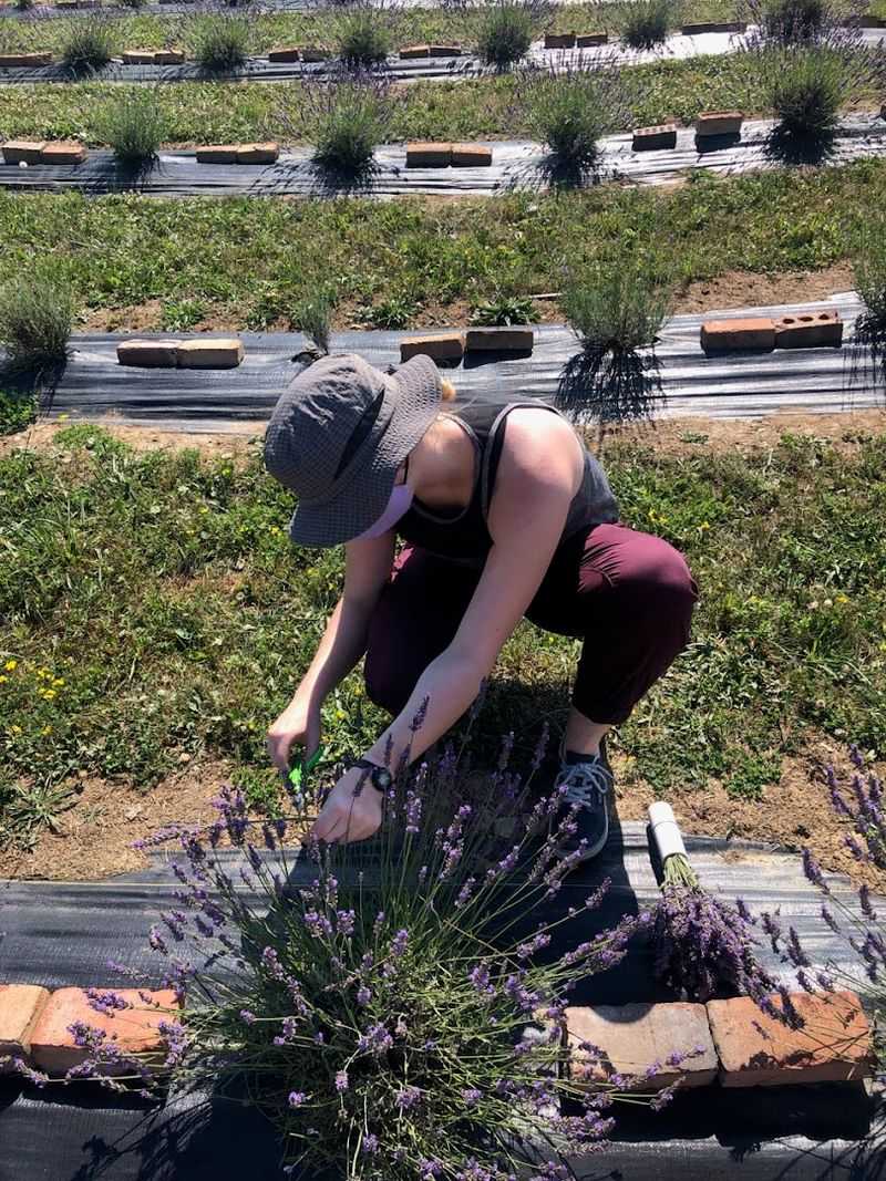 Picking Your Own Bundle