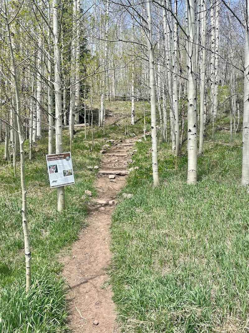 What the First 1.5 Miles Actually Feel Like