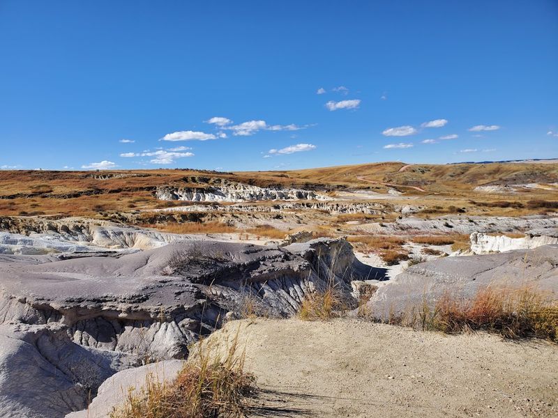 Parking, Bathrooms, and the Practical Stuff Nobody Wants to Skip