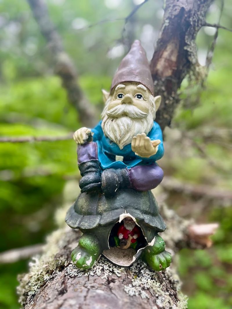 What the Gnomes Actually Look Like