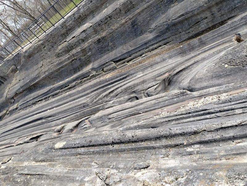 The Fossils Hidden in Plain Sight