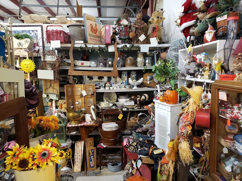 Spring Is the Right Season to Show Up