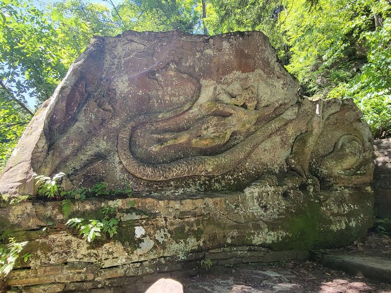 What the Rock Actually Looks Like Up Close