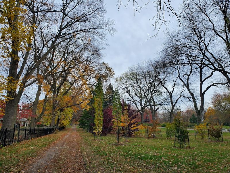 Beyond Roses: The Rest of the Park