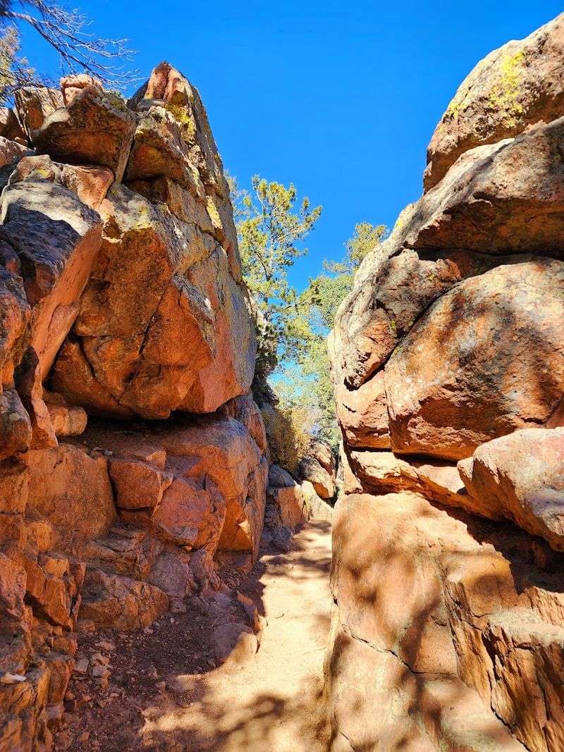 What the Trail Actually Feels Like on Your Legs