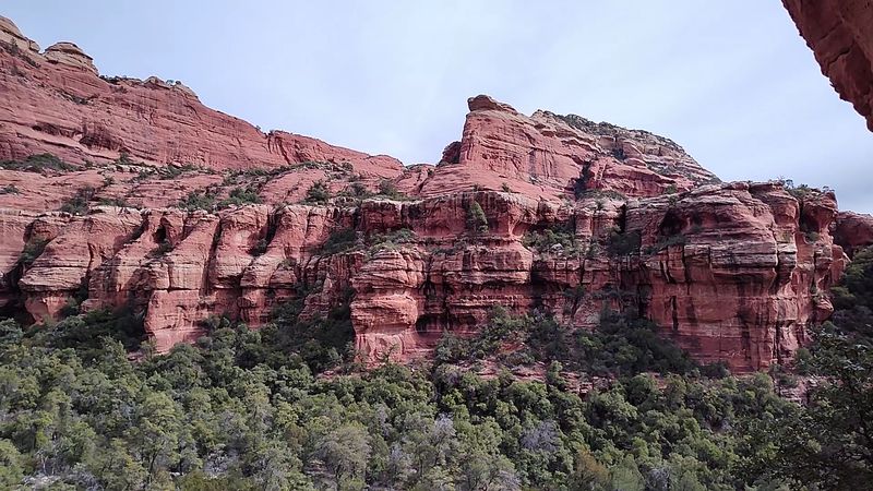 What the Trail Itself Actually Looks Like