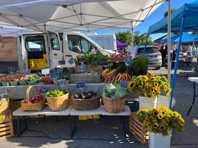 Sara Hardy Downtown Farmers Market, Traverse City