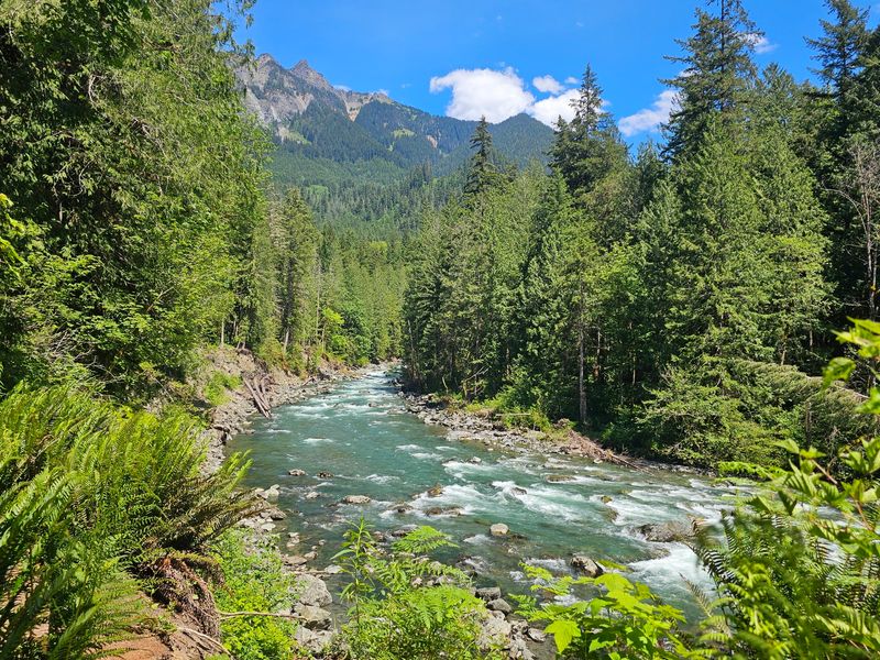 Whatcom County