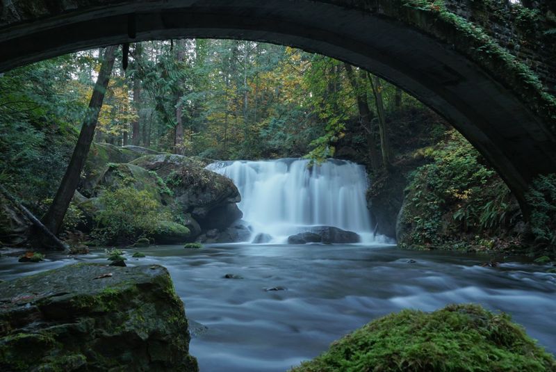 Whatcom Falls Park Whatcom Falls Park