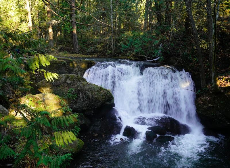 Whatcom Falls Park Whatcom Falls Park
