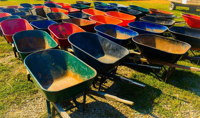 Wheelbarrows Into the Pumpkin Field Wheelbarrows Into the Pumpkin Field