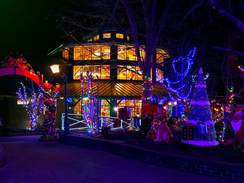 When Patti's Becomes Pure Holiday Magic