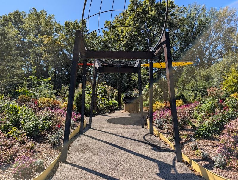 Walking Through Waves Of Blooming Color