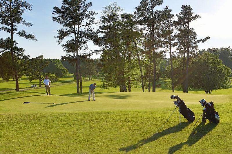  The Park Beyond The Shoreline