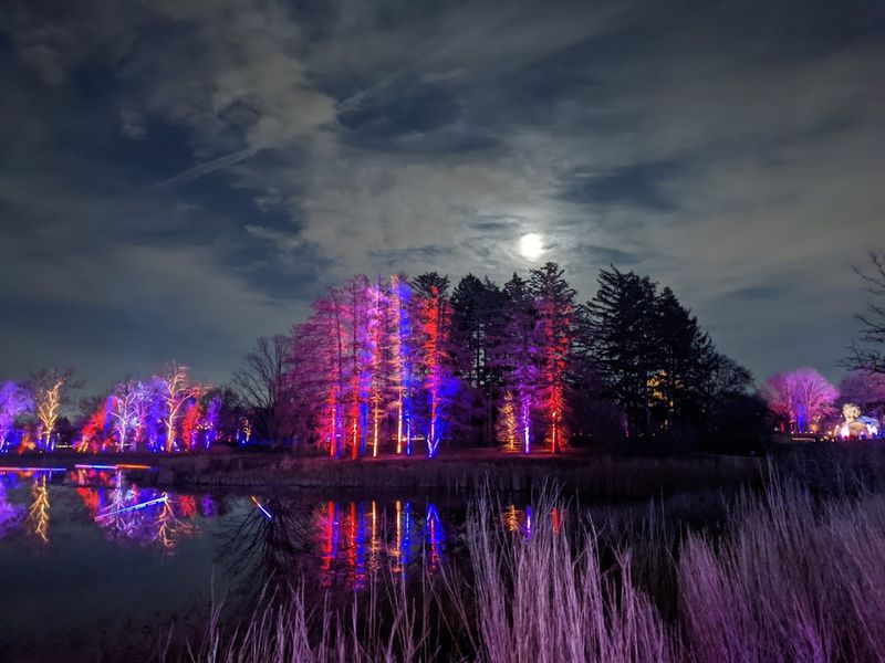 When The Trees Start Glowing