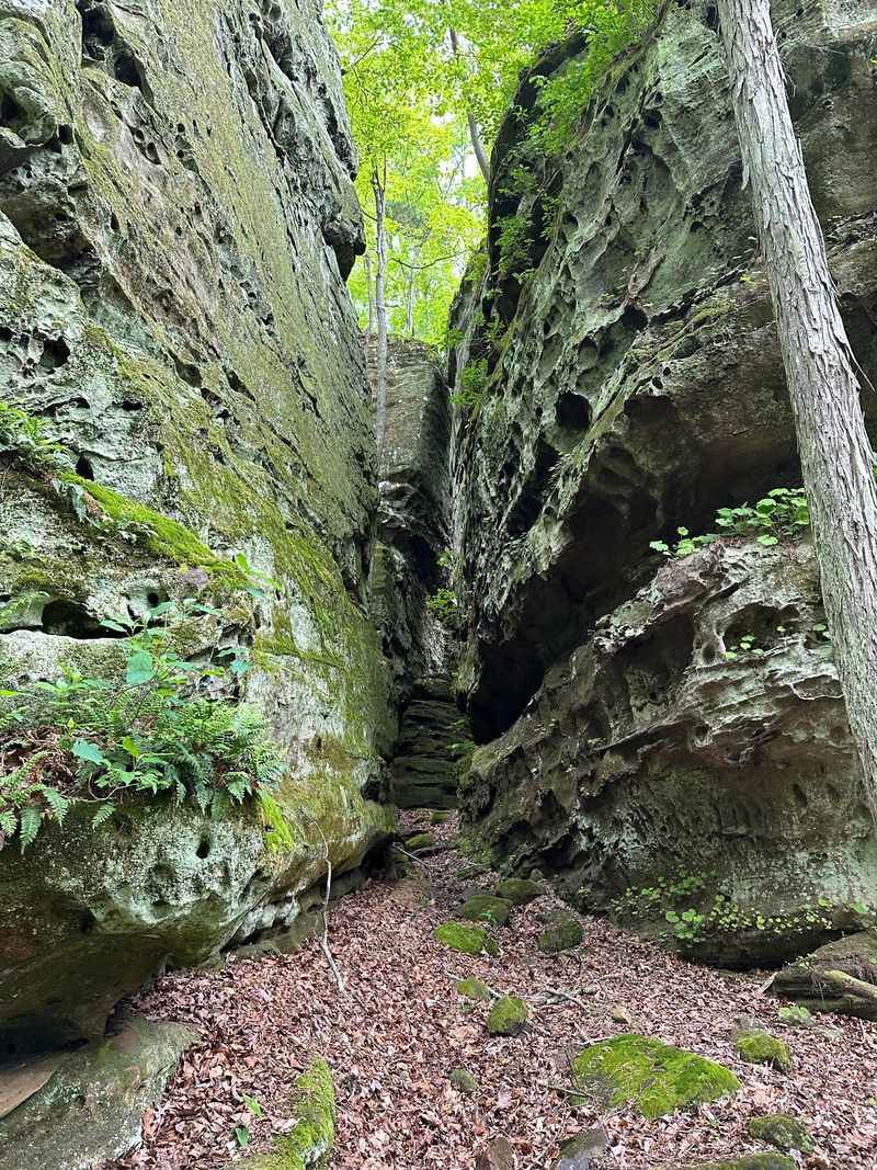 Rock Climbing Culture In The Canyon