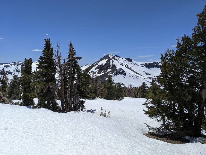  When The Wilderness Becomes A Snowy Dreamscape