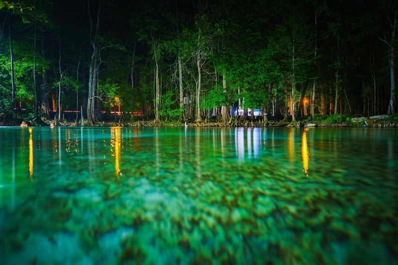 Local Nature: Cypress, Limestone, And The Aquifer