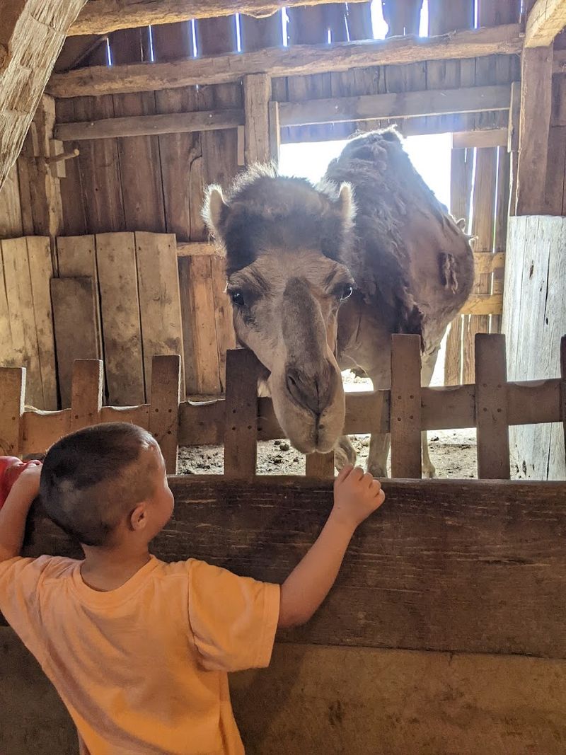 A Perfect Spot For Celebrations 