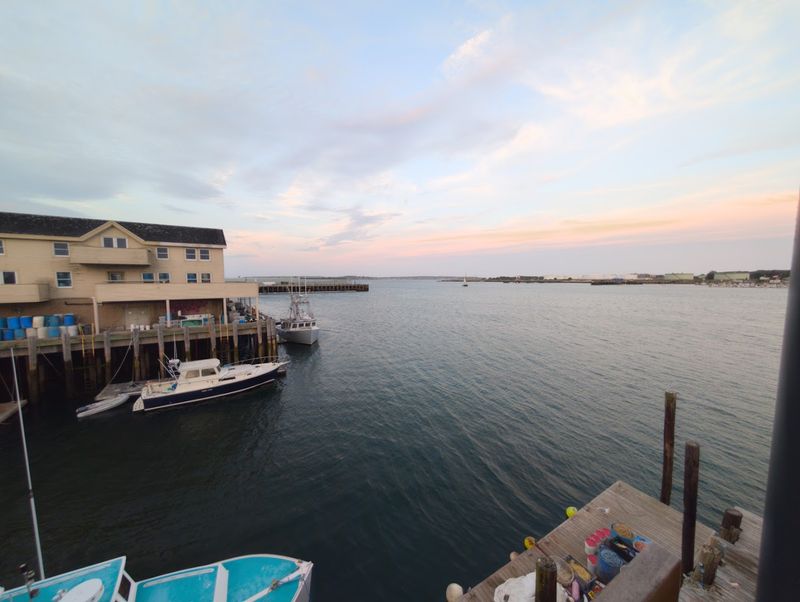 Unexpected Harbor Wildlife