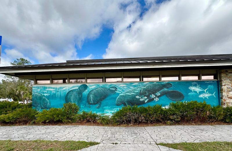 Homosassa Mood: Sights, Smells, And That Wow Moment