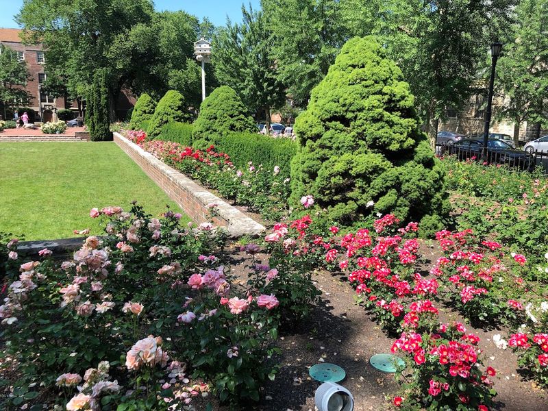 When To Visit For Peak Bloom When To Visit For Peak Bloom