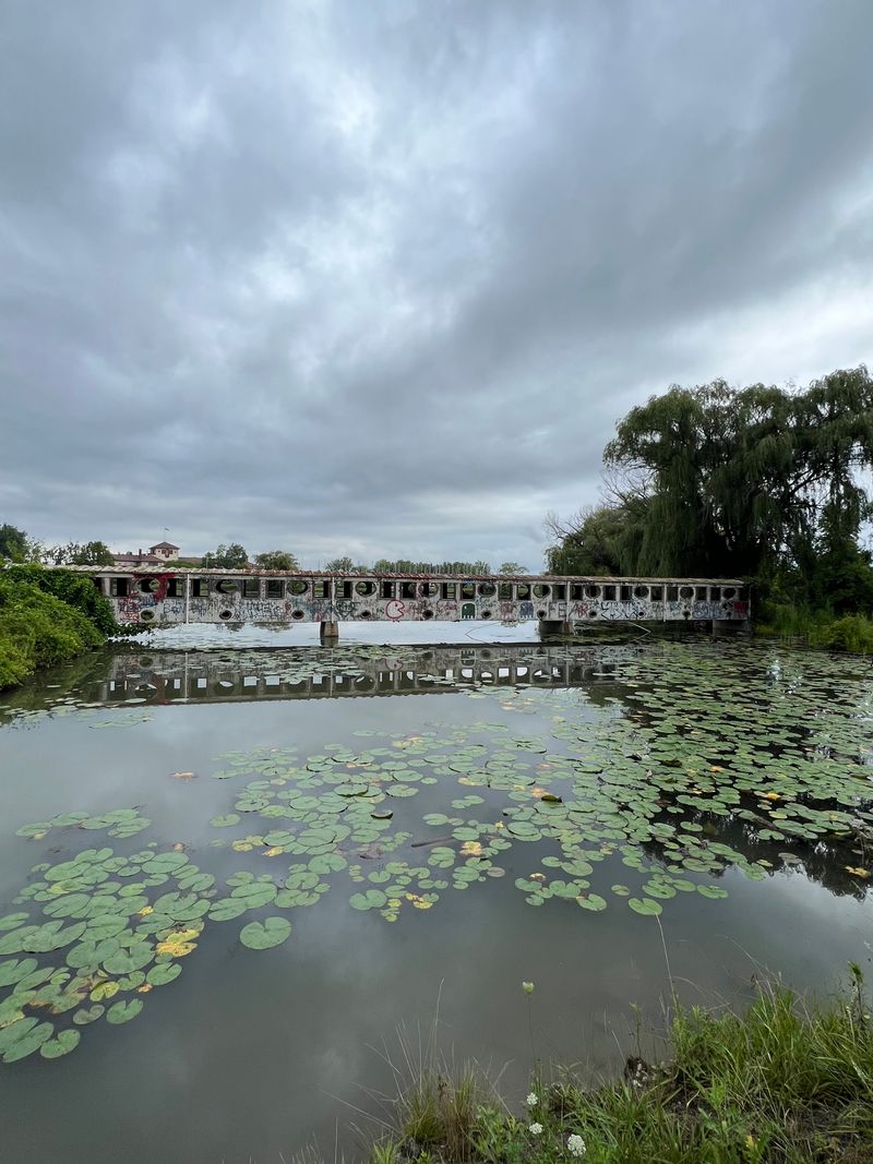 Why The Place Feels Safe Enough